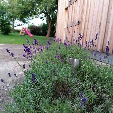 Apartment Am Reinhardswald - Eichenlaub - Mit Sauna Trendelburg