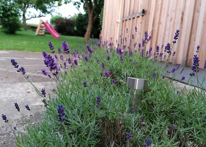 Apartment Am Reinhardswald - Eichenlaub - Mit Sauna Trendelburg